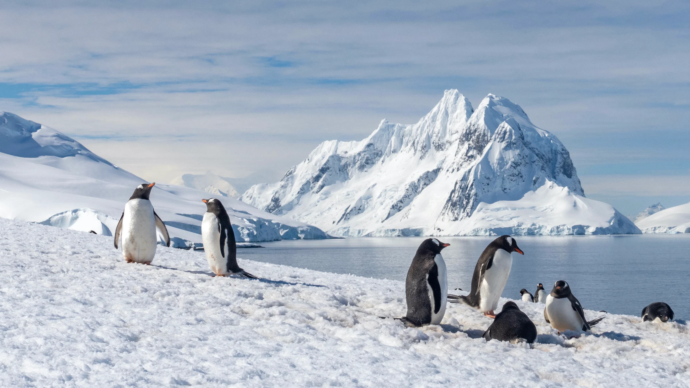 Antarctica Tour