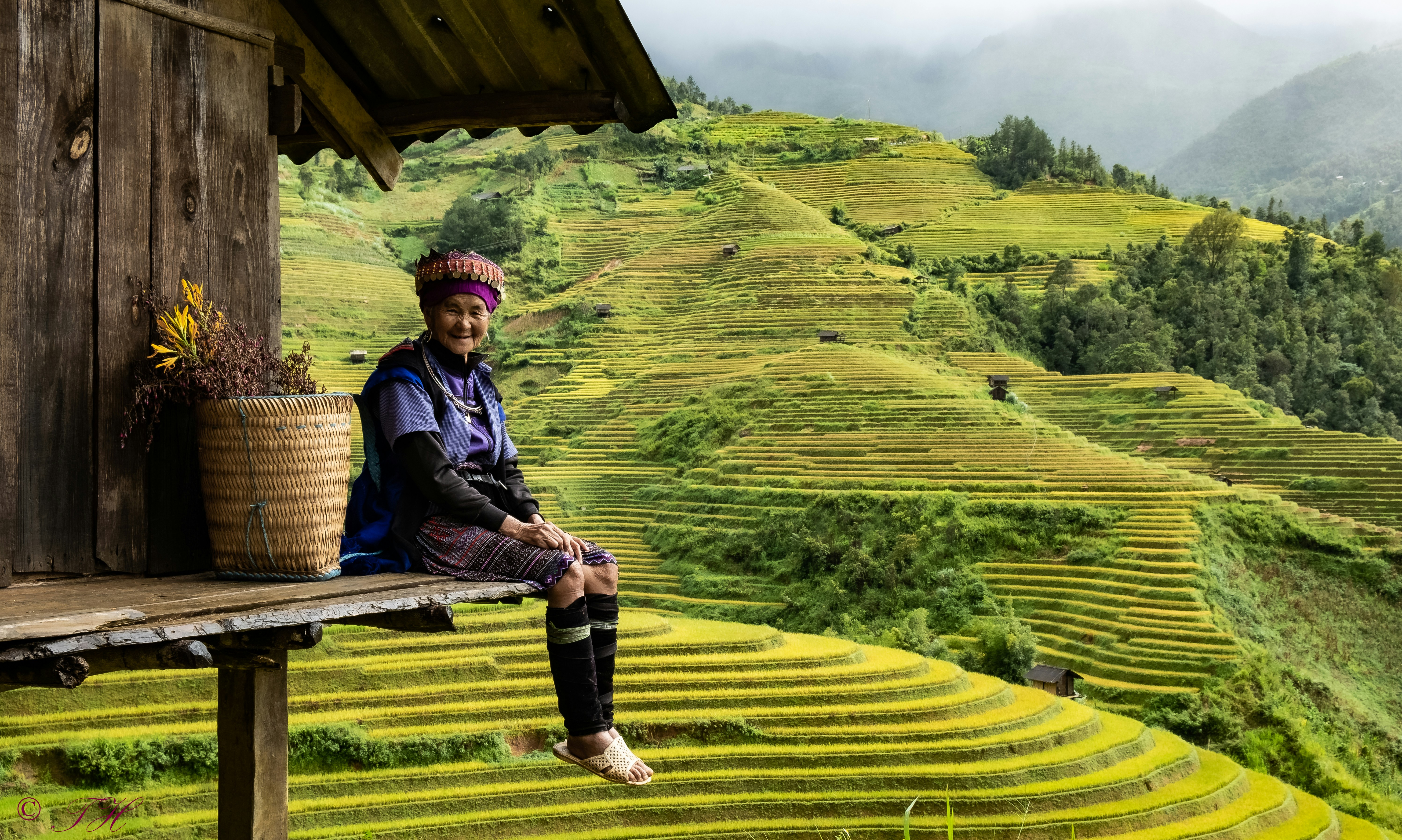 Vietnam 3